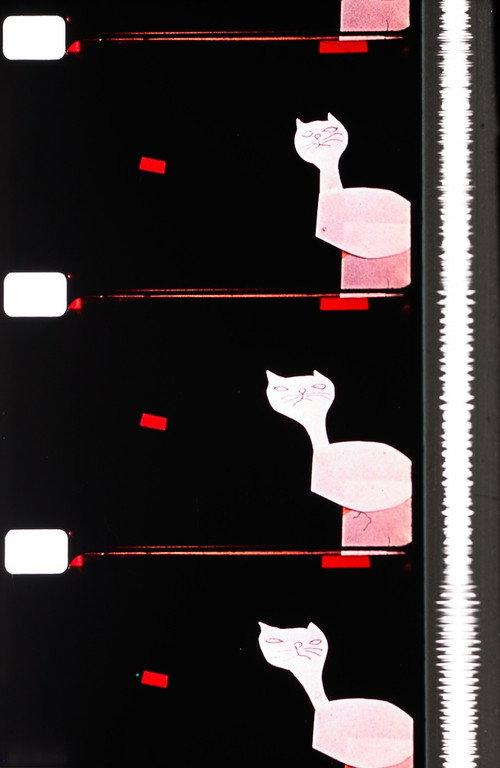 Cats backdrop
