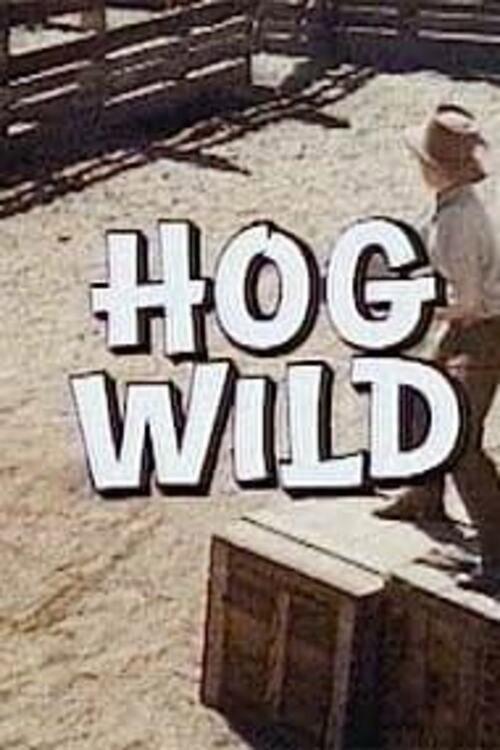 Hog Wild backdrop