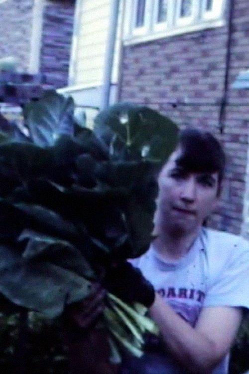 Collards Garden, 1985 backdrop