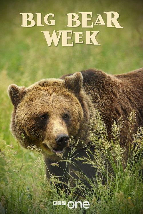 Big Bear Week backdrop
