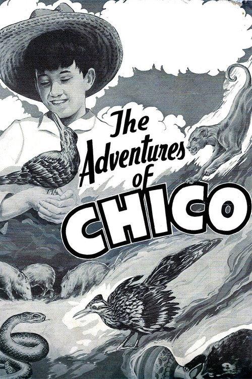The Adventures of Chico backdrop