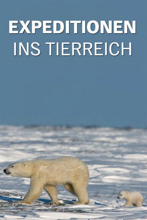 Expeditionen ins Tierreich backdrop