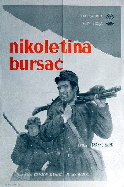Nikoletina Bursac backdrop