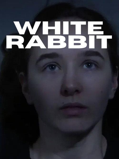 White Rabbit backdrop
