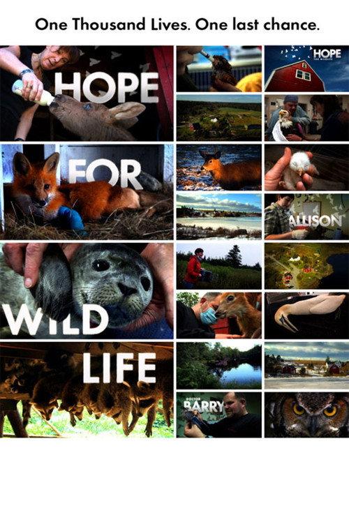 Hope for Wildlife backdrop