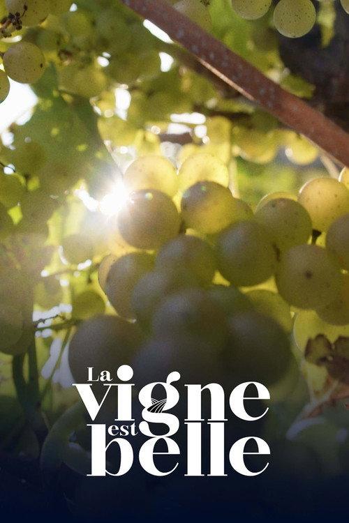 La vigne est belle backdrop