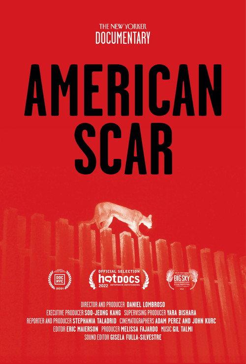 American Scar backdrop