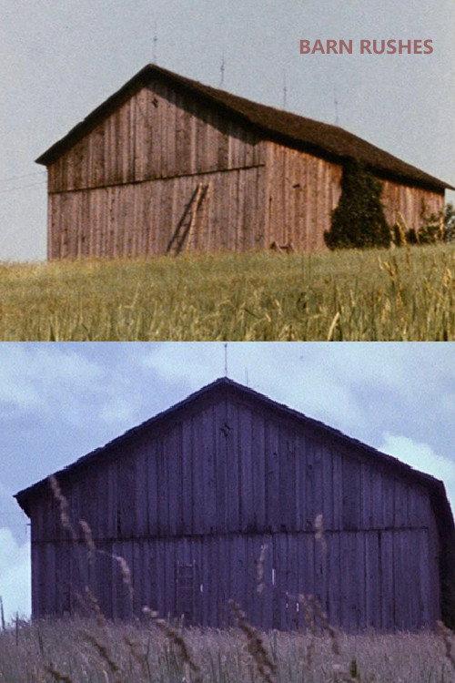 Barn Rushes backdrop