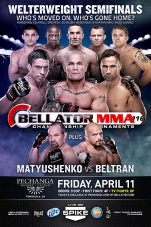 Bellator 116 backdrop
