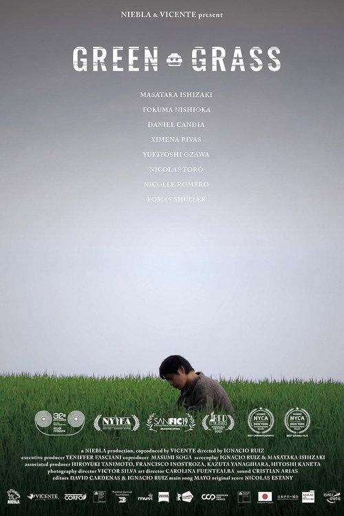 Green Grass backdrop