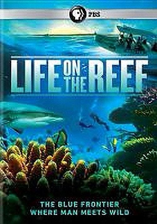 Life on the Reef backdrop
