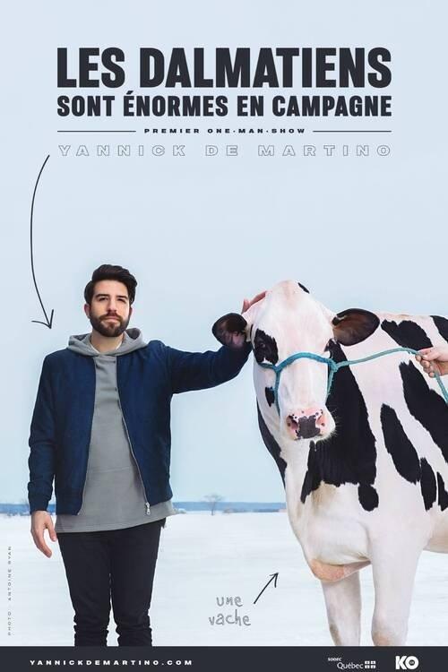 Yannick De Martino: Les dalmatiens sont énormes en campagne backdrop