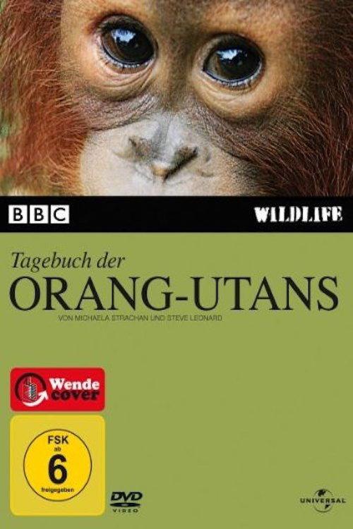 Tagebuch der Orang-Utans backdrop