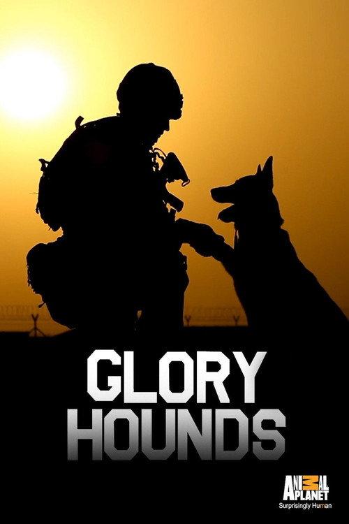 Glory Hounds backdrop