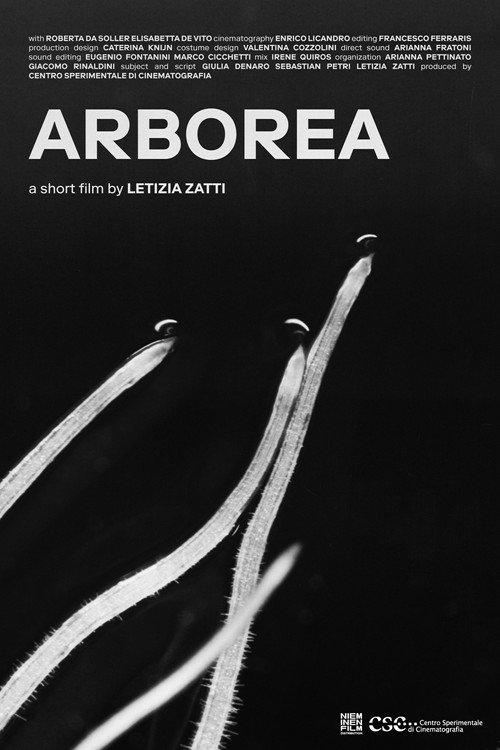 Arborea backdrop