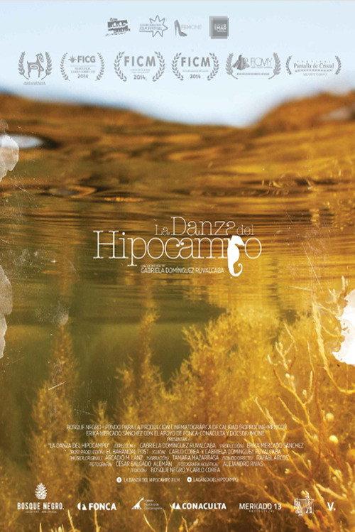 The Dance of Memory backdrop