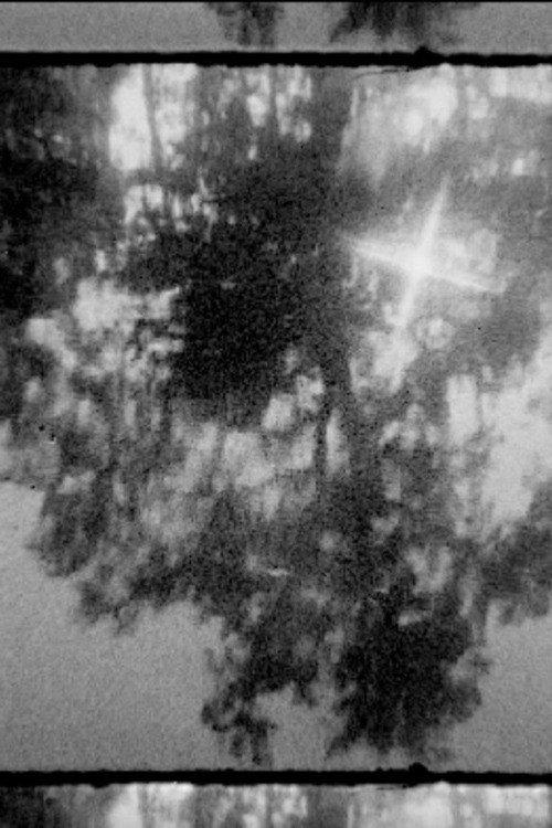 In the Darkness backdrop