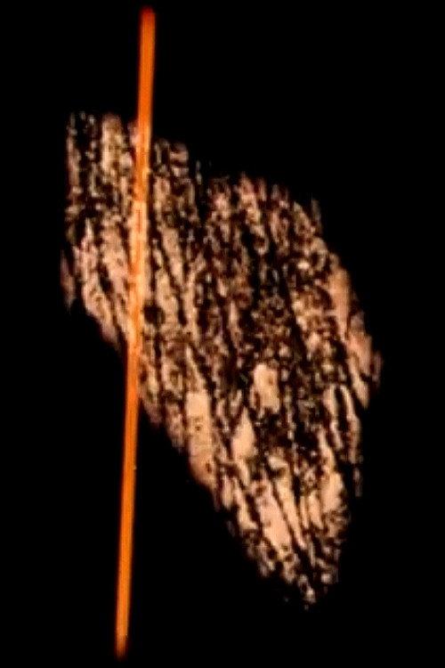 Étude 65 backdrop