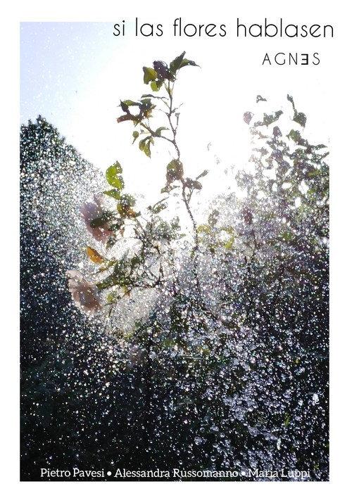 Si las flores hablasen backdrop