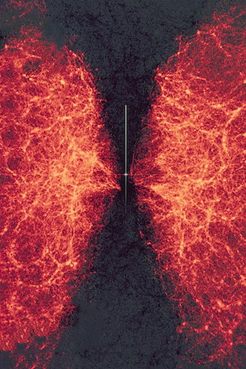 data-verse 1 backdrop