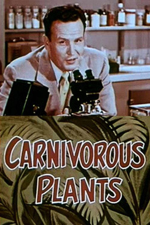 Carnivorous Plants backdrop