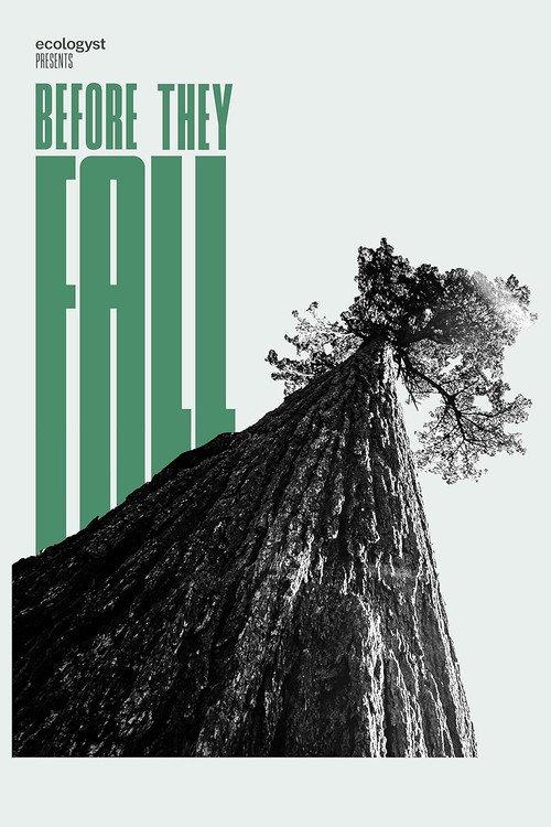 Before They Fall backdrop