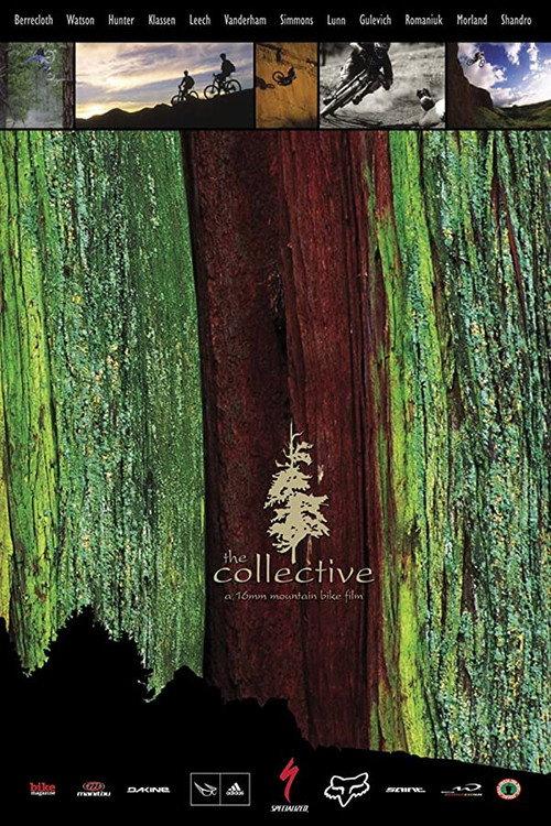 The Collective backdrop