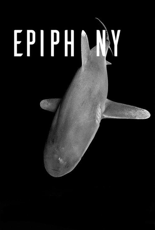 Epiphany backdrop