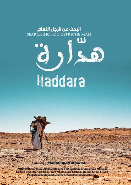 Searching for Ostrich Man Haddara backdrop