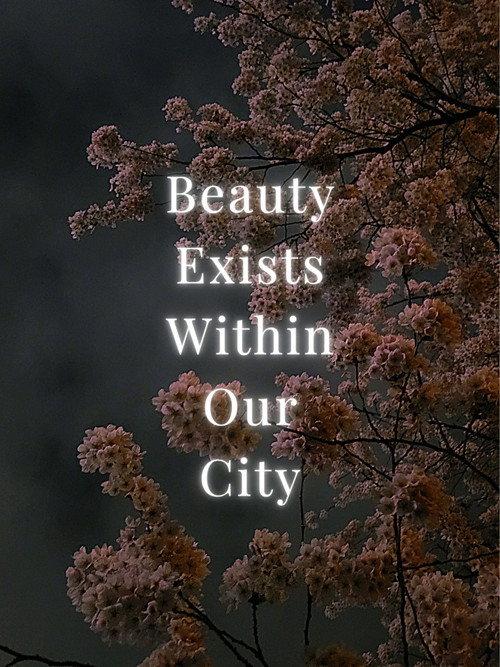 Beauty Exists Within Our City backdrop