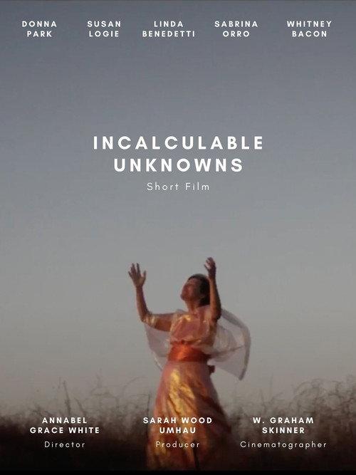 Incalculable Unknowns backdrop
