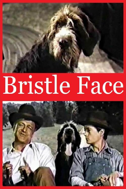 Bristle Face backdrop