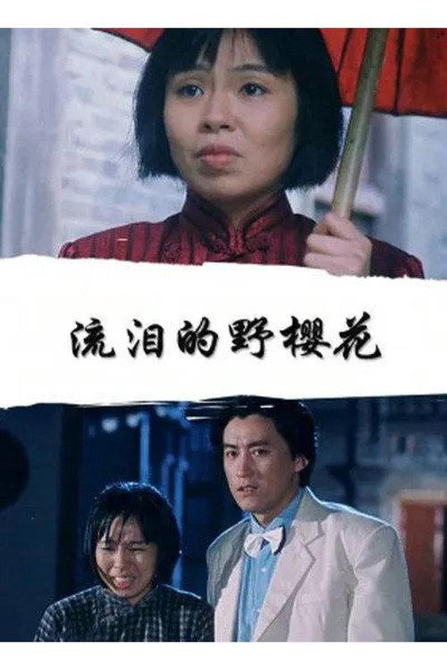 流泪的野樱花 backdrop