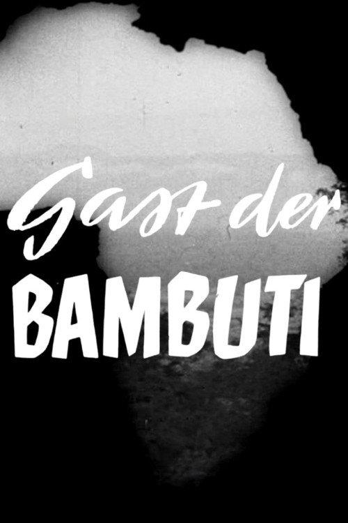 Gast der Bambuti backdrop