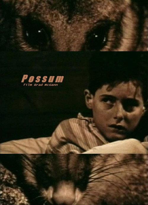 Possum backdrop