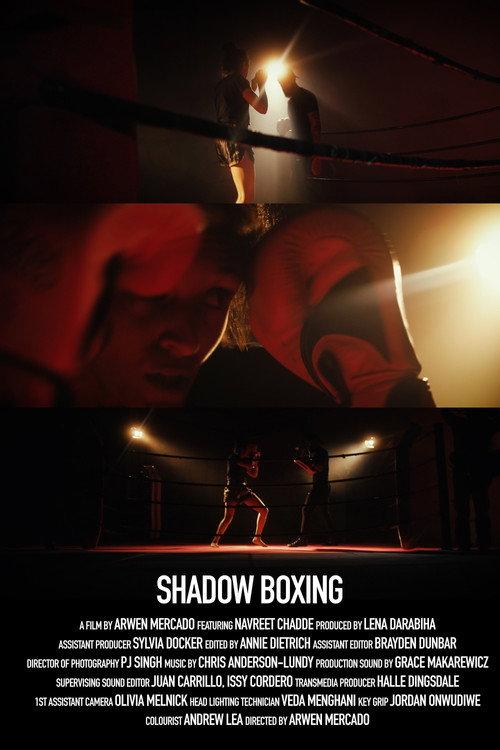 Shadow Boxing backdrop