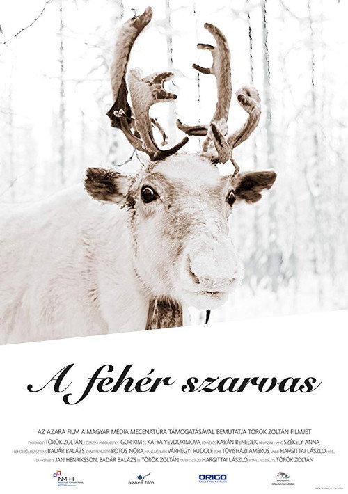 The White Reindeer backdrop