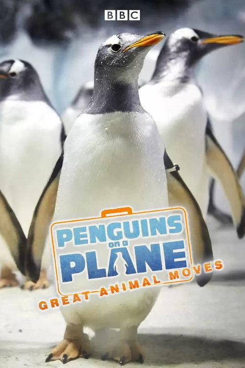 Penguins on a Plane: Great Animal Moves backdrop