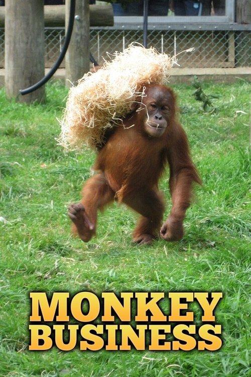 Monkey Business backdrop