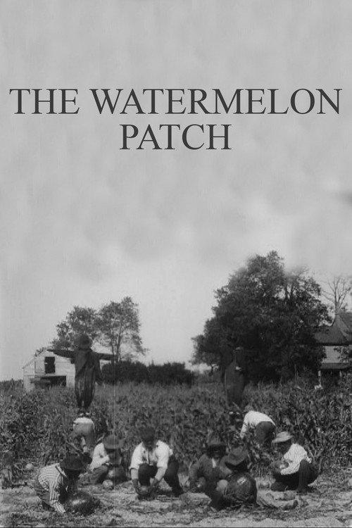 The Watermelon Patch backdrop