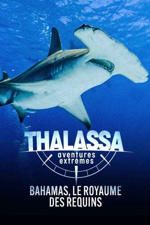 Thalassa, aventures extrêmes backdrop