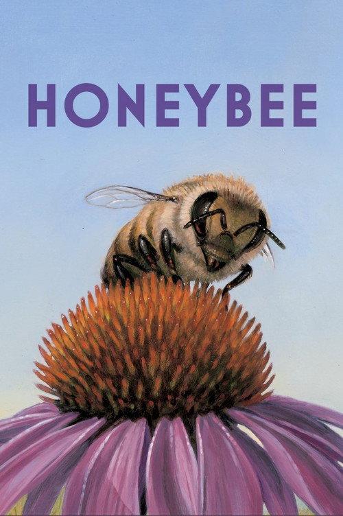 Honeybee backdrop