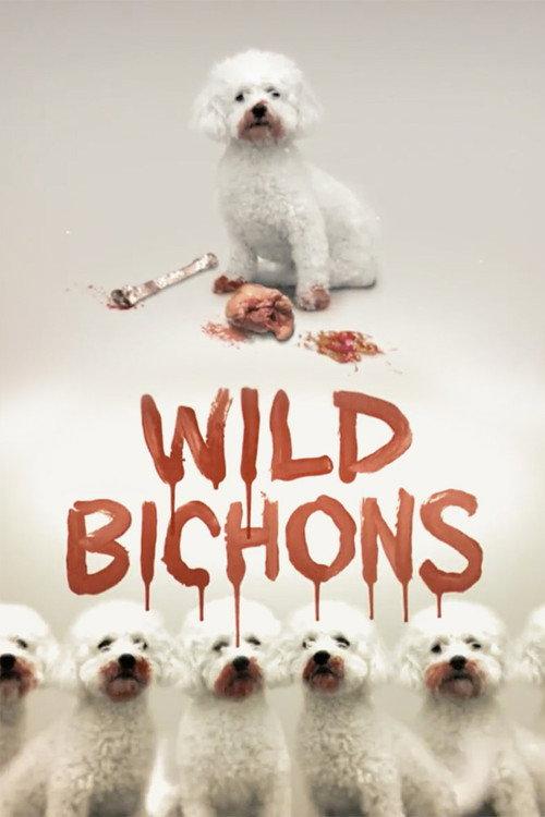 Wild Bichons backdrop