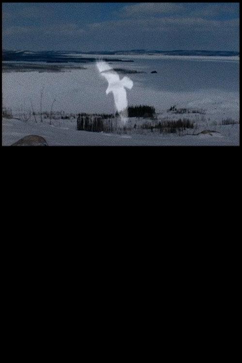 Innu backdrop