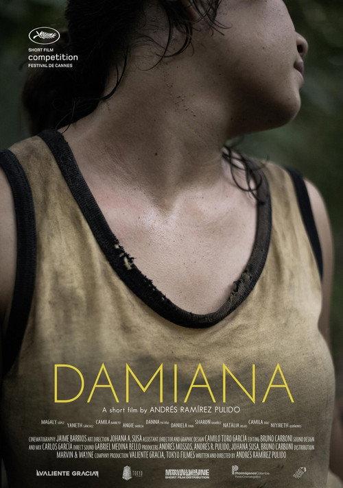 Damiana backdrop