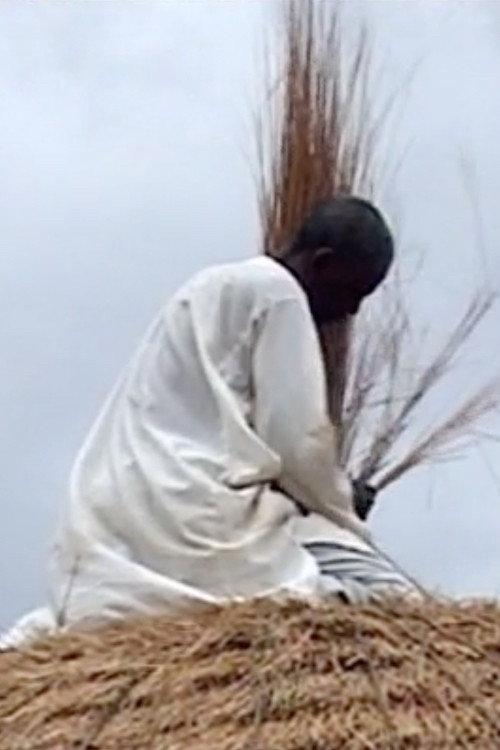 Diyam Wala: Water and Life in Kalfou Cameroon backdrop