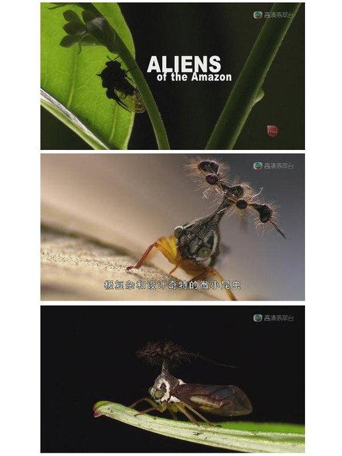 Aliens of the Amazon backdrop