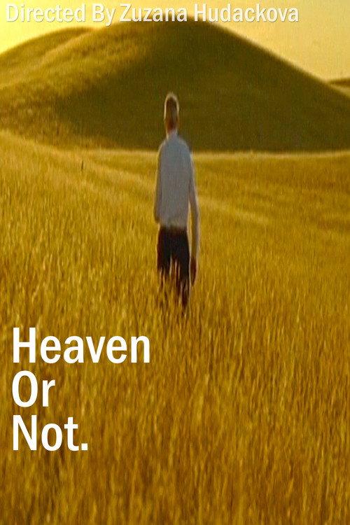 Heaven Or Not backdrop