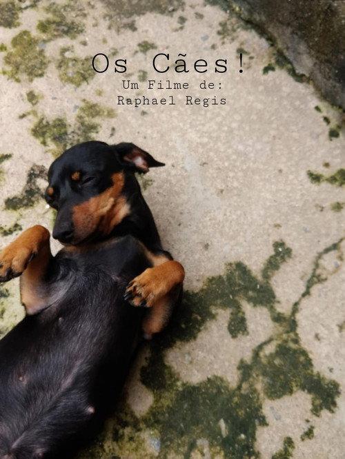 Os Cães! backdrop