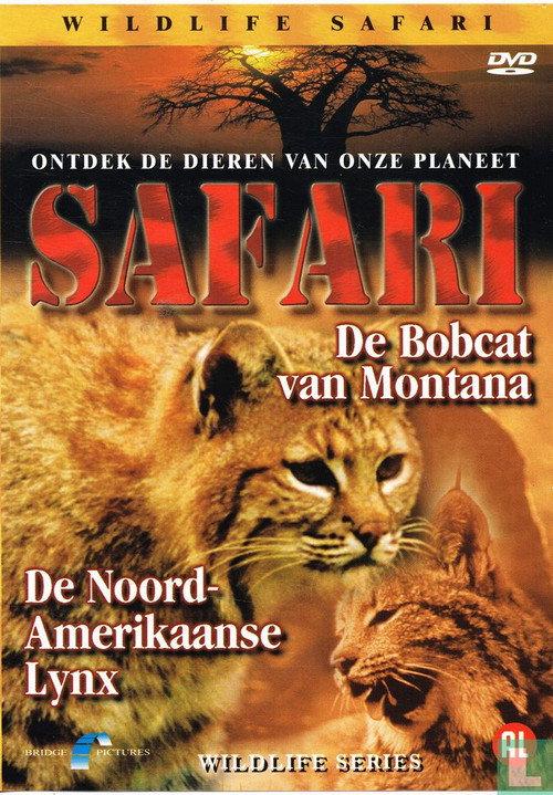 Safari: De Bobcat van Montana / De Noord-Amerikaanse Lynx backdrop